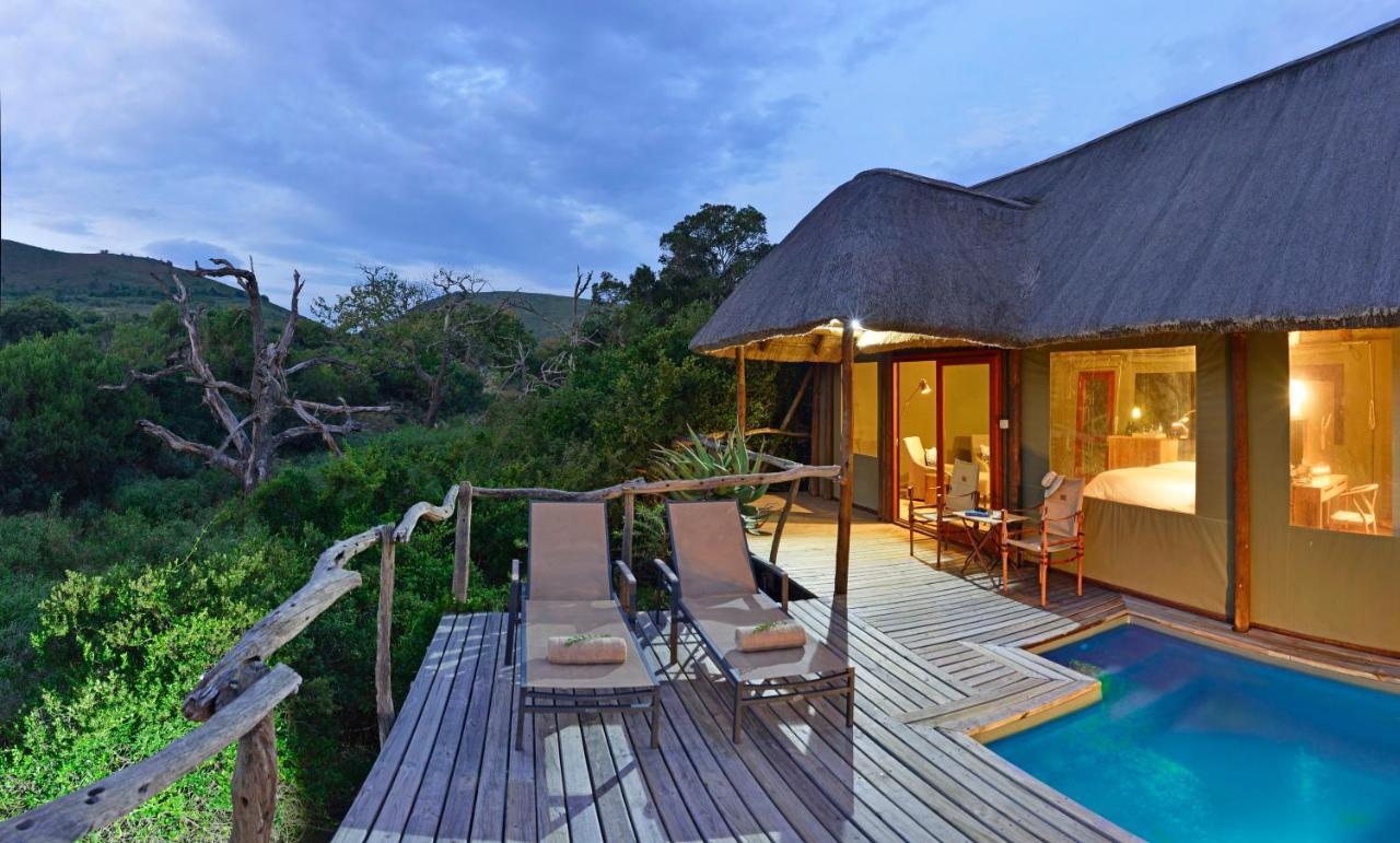 Villa Shamwari Bayethe à Paterson Extérieur photo